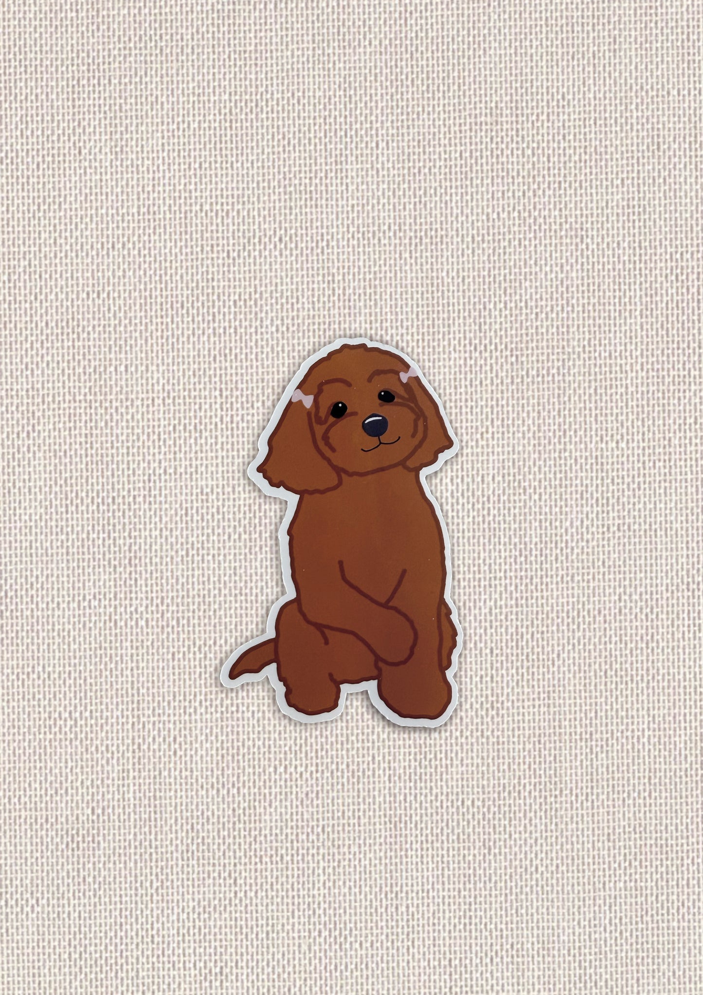 Cavoodle Sticker